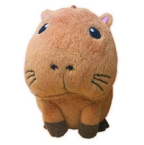 [잡담] 리쿠 얘랑 너무 닮음 | 인스티즈