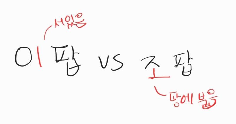 [잡담] 이팝나무 조팝나무 구별법 개쉬움 | 인스티즈