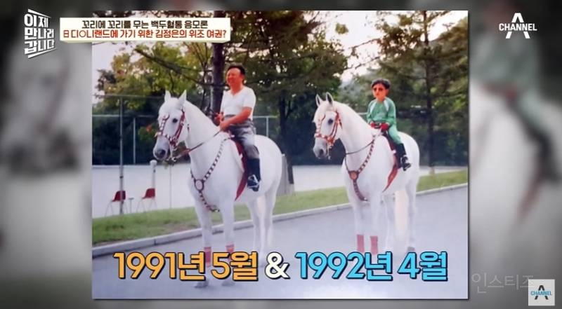 위조여권으로 일본 디즈니랜드 다닌 북한 김정은 | 인스티즈