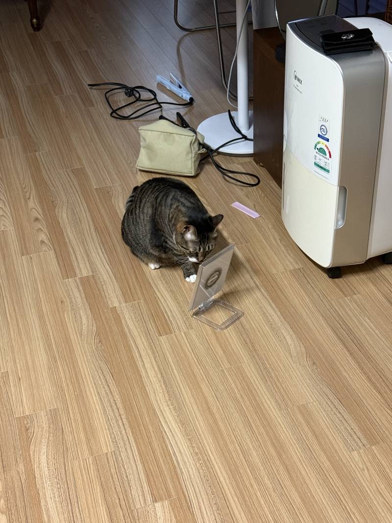 [잡담] 룸메 공주병같음; | 인스티즈