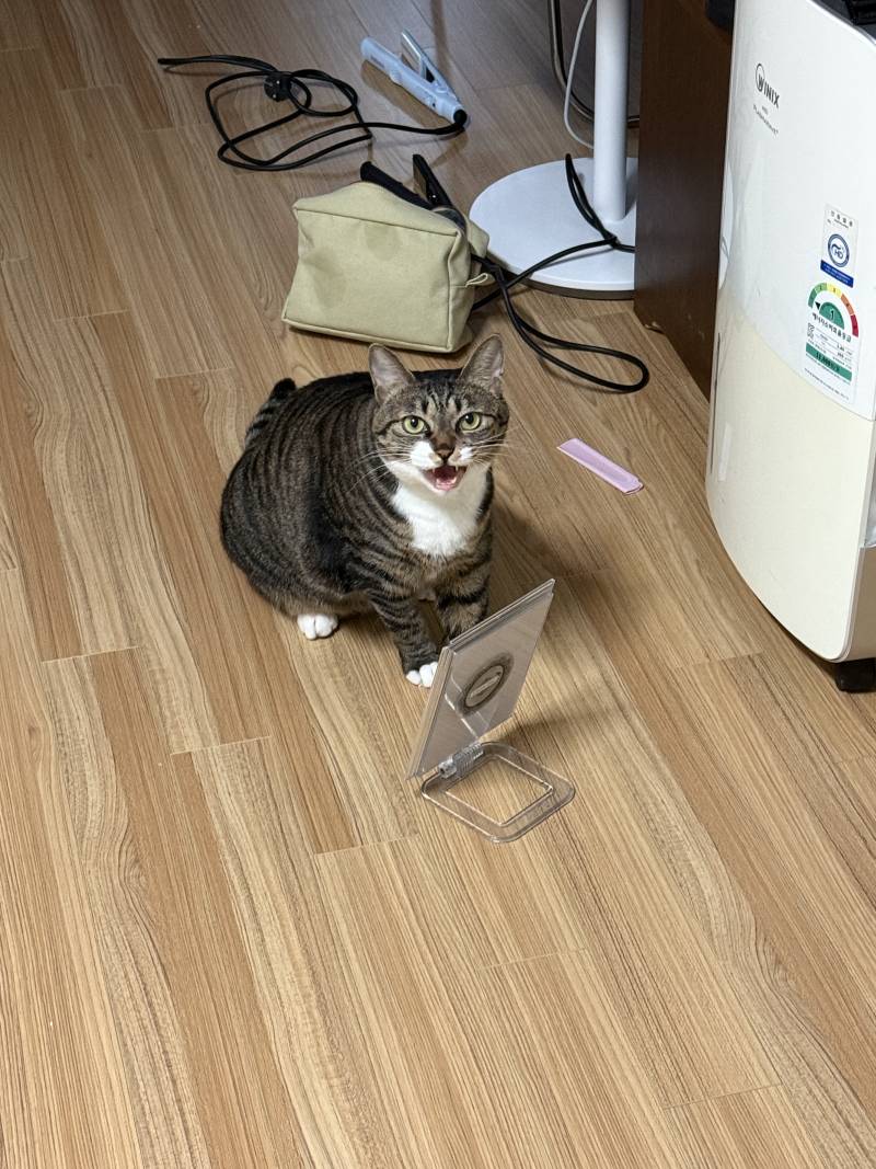 [잡담] 룸메 공주병같음; | 인스티즈