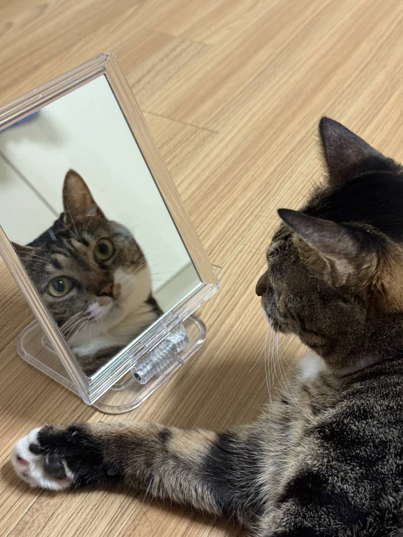 [잡담] 룸메 공주병같음; | 인스티즈