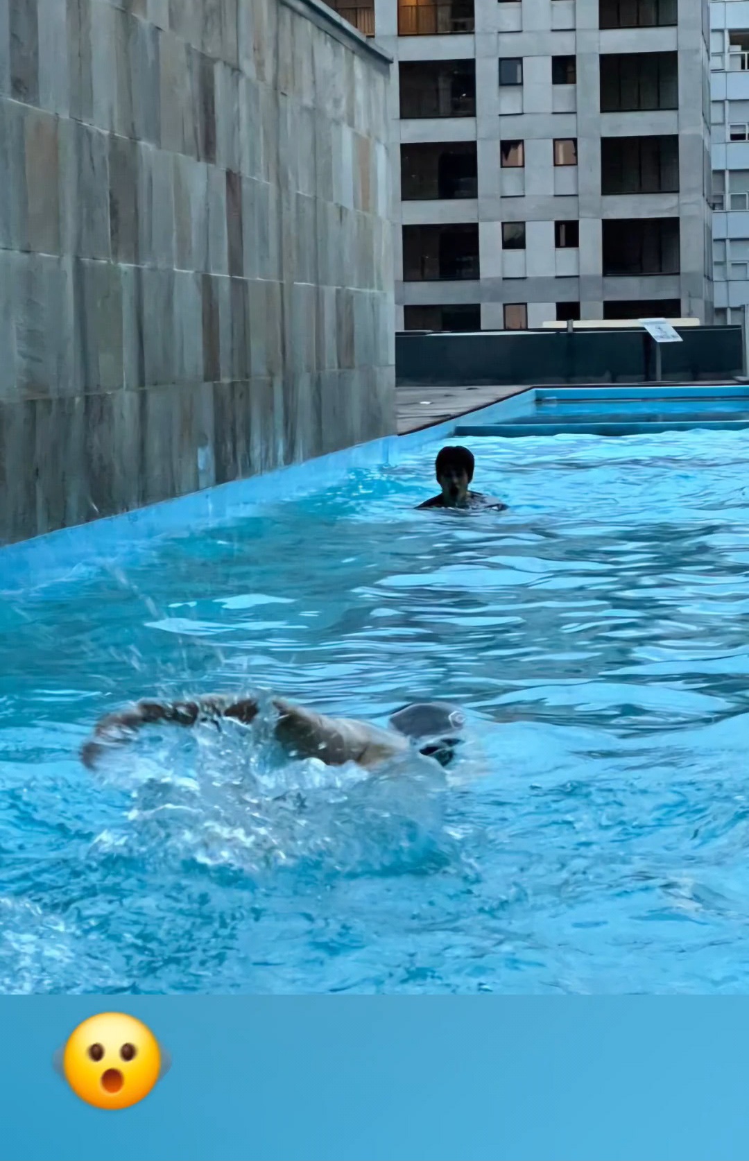 [잡담] 타로가 올려준 소희앤톤 수영사진 너무 웃겨 | 인스티즈
