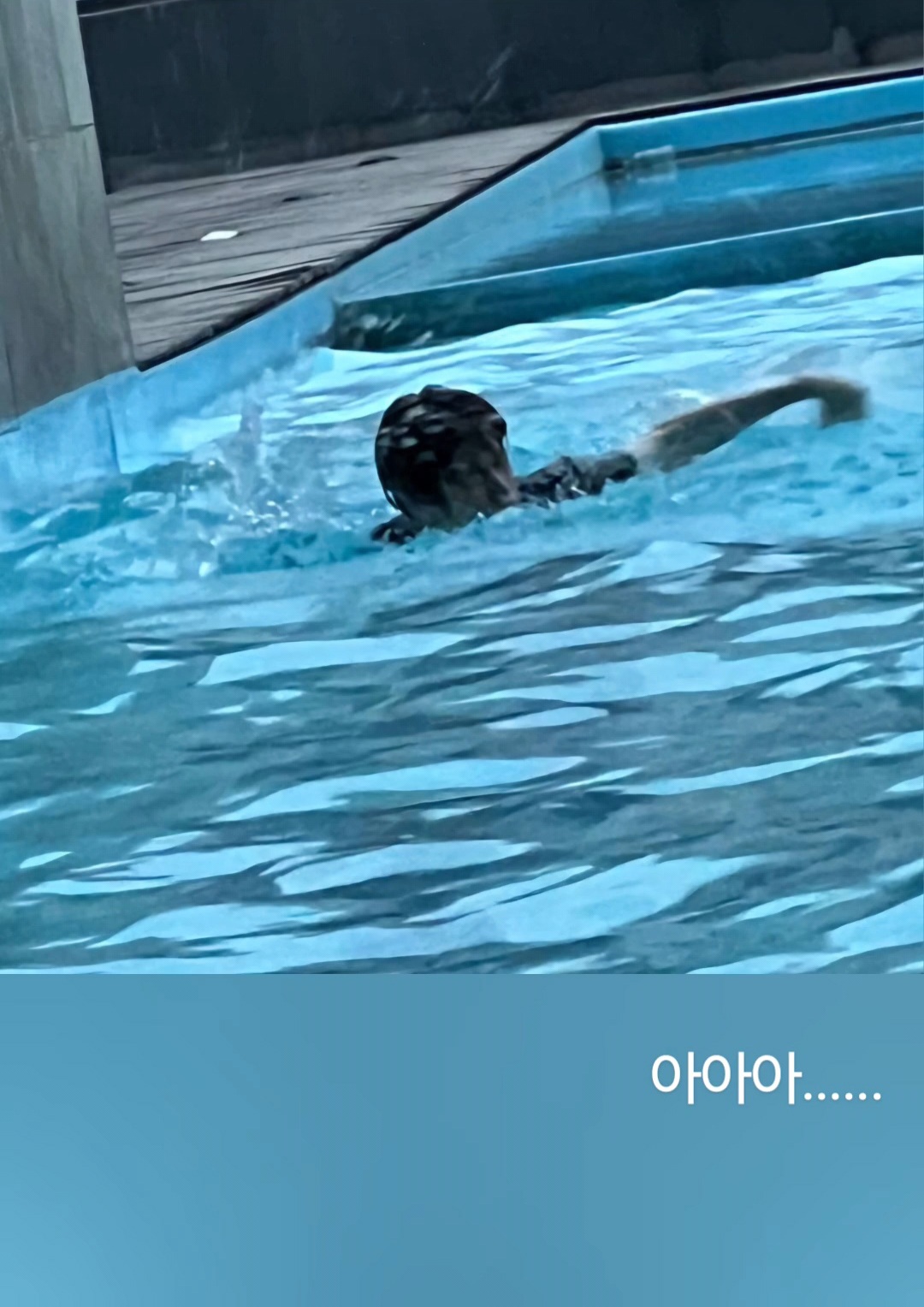 [잡담] 타로가 올려준 소희앤톤 수영사진 너무 웃겨 | 인스티즈