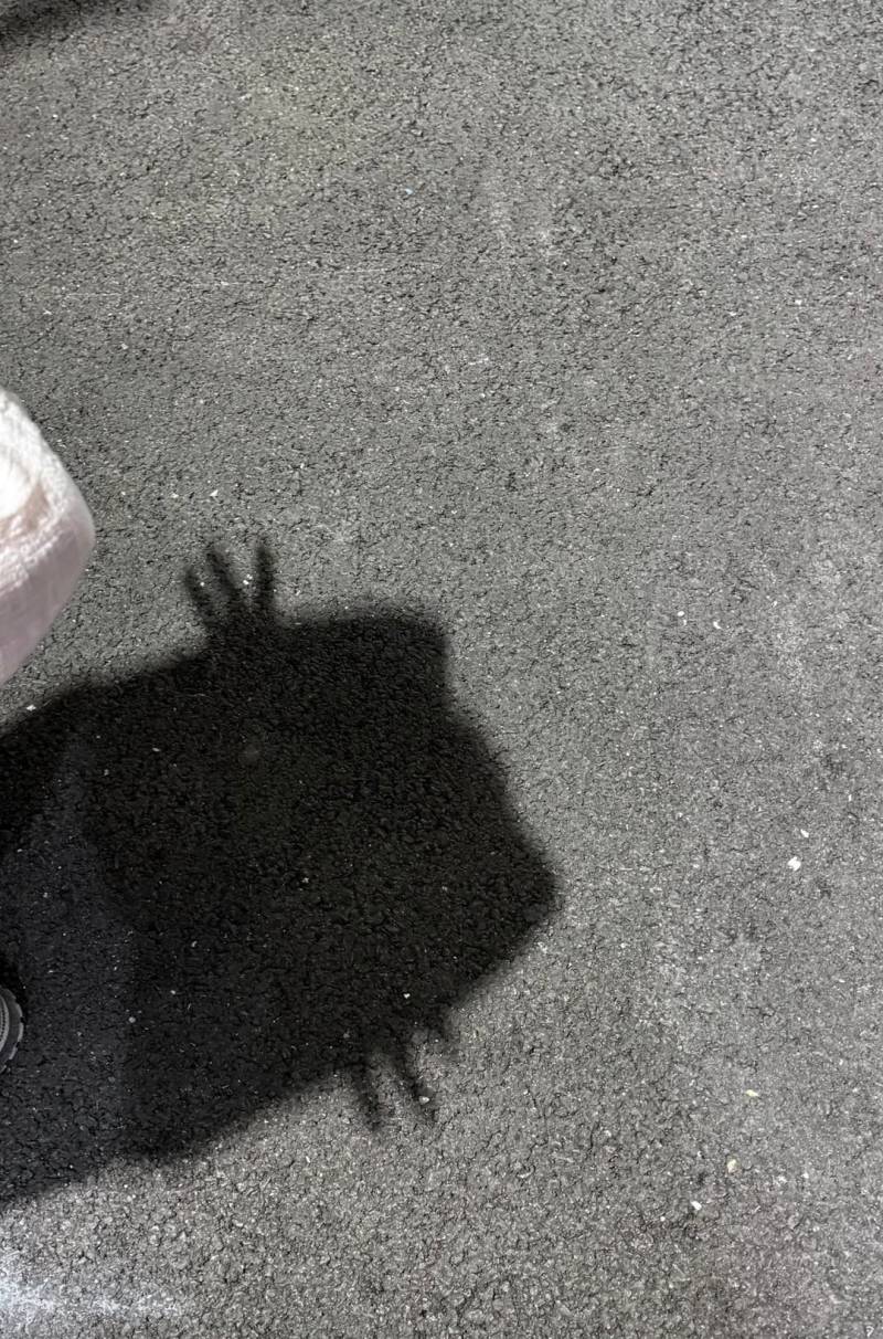 요즘 유행이라는 고양이 그림자 포즈 모아보기.jpg | 인스티즈