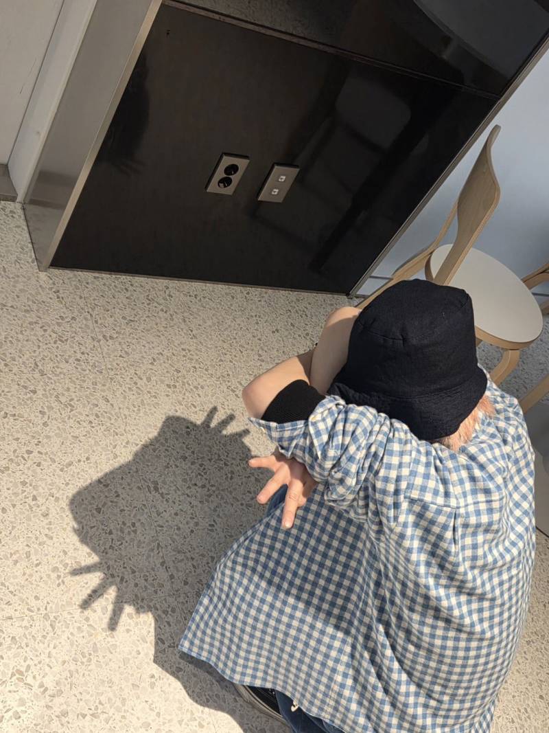 요즘 유행이라는 고양이 그림자 포즈 모아보기.jpg | 인스티즈