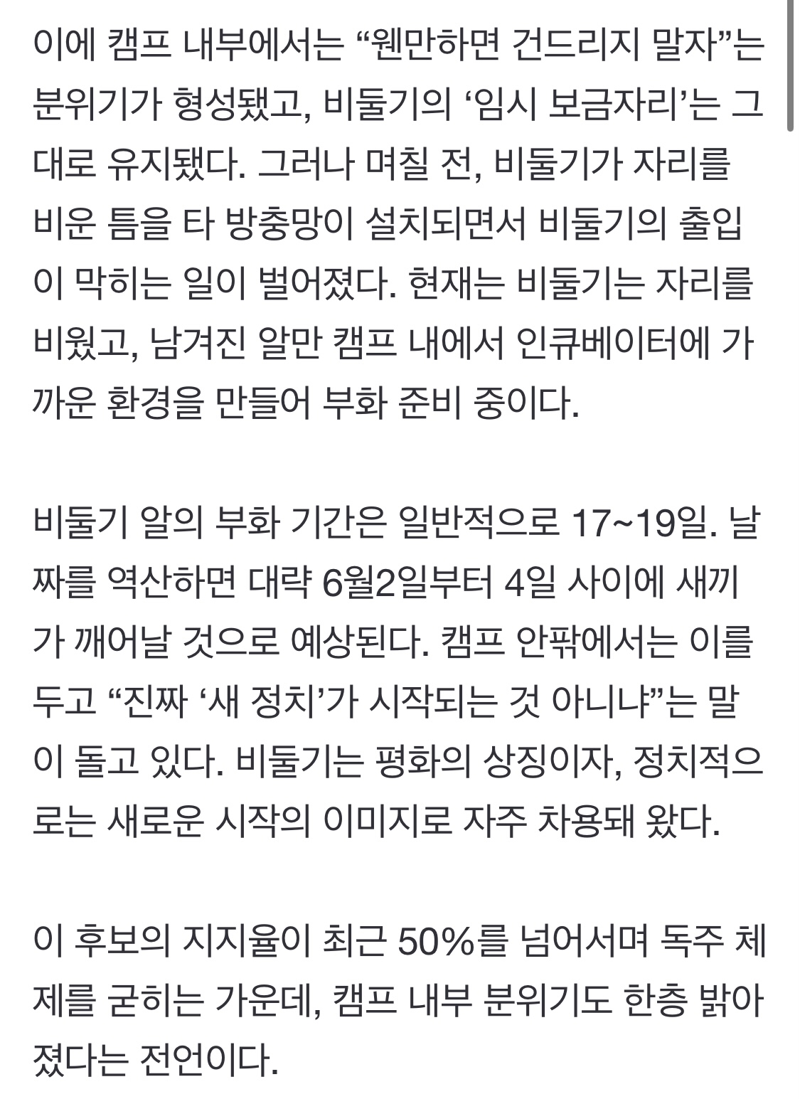 [잡담] 이재명 캠프에 비둘기 알낳은거 부화 6월 2일이랑 4일 그사이쯤일거같대 | 인스티즈