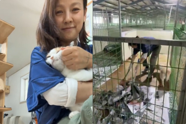 [잡담] 이효리❤️이상순 부부, 또 선행..유기동물보호소 사료 2톤 기부+청소 봉사[종합] | 인스티즈