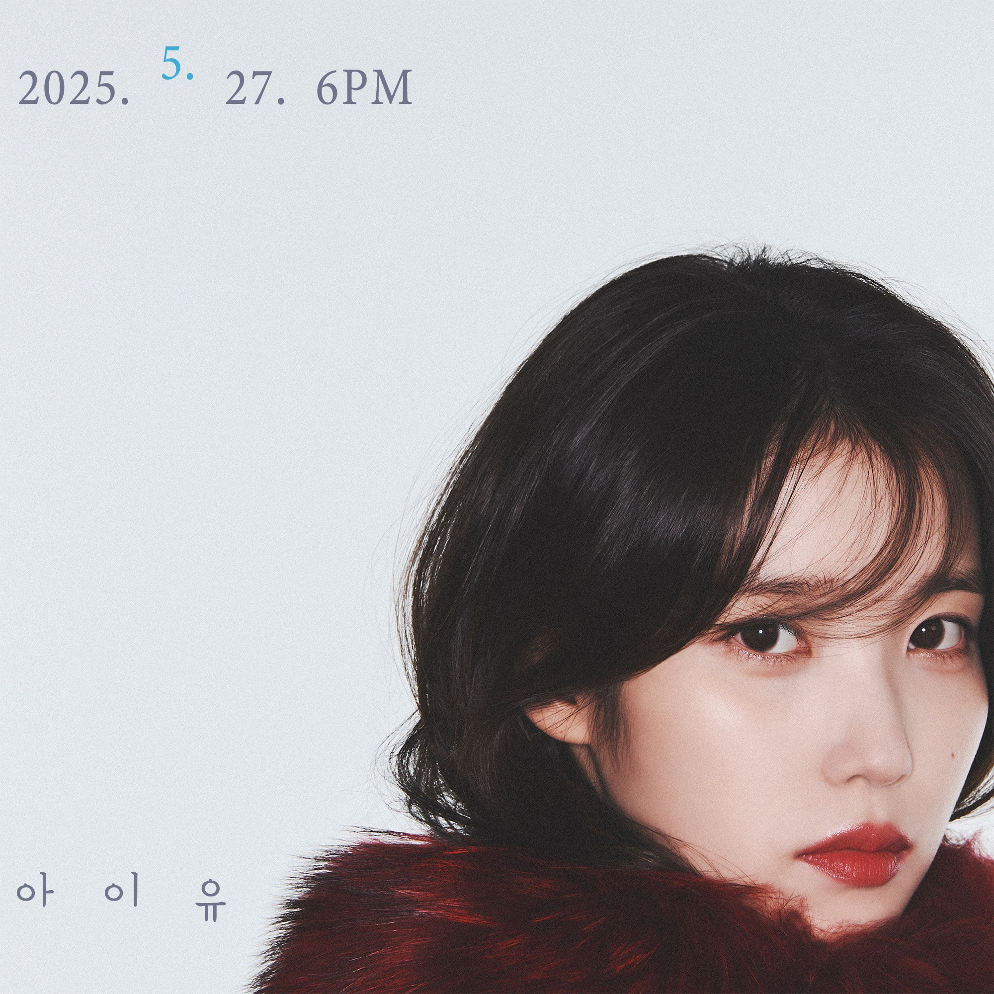 [잡담] 아이유 꽃갈피 사진 뜬 거 미쳐ㅜㅠ | 인스티즈