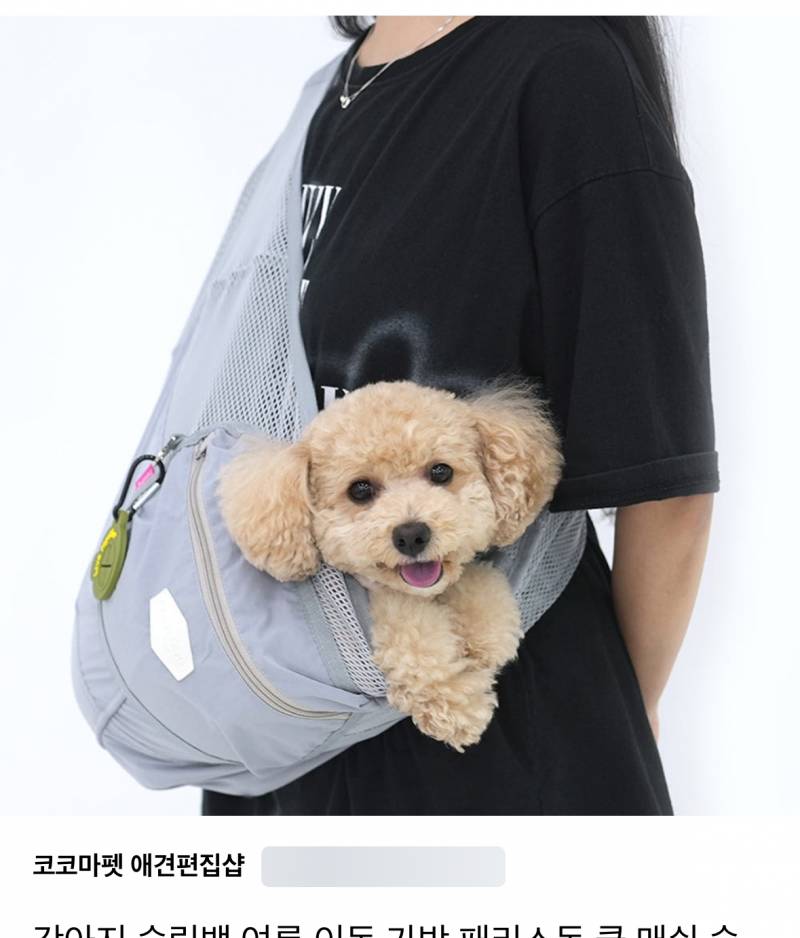 [잡담] 강아지 이러고 버스 타도 되나?ㅜㅜㅜ | 인스티즈