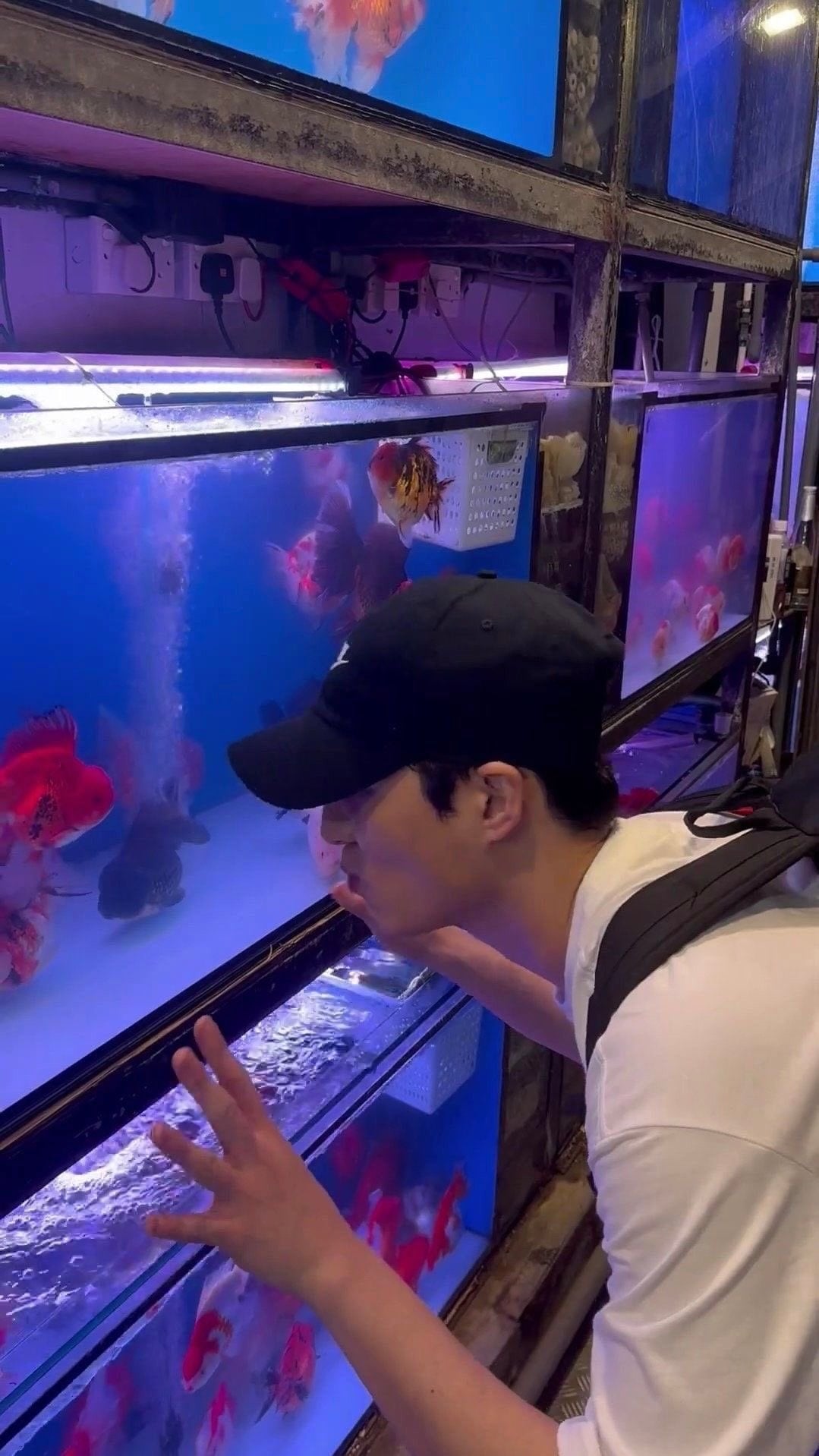 [잡담] 영케이 이 사진 어디서 나온거예요?? | 인스티즈