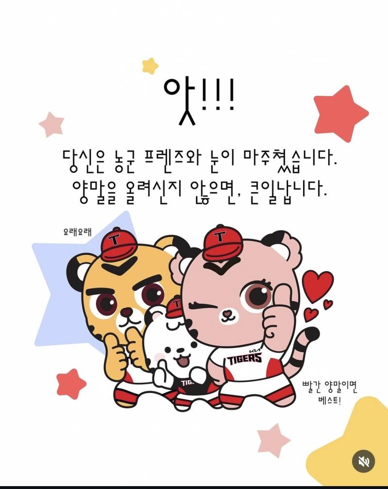 [잡담] 나 인스타 들어갔다가 얘네랑 눈 마주쳤는데 | 인스티즈