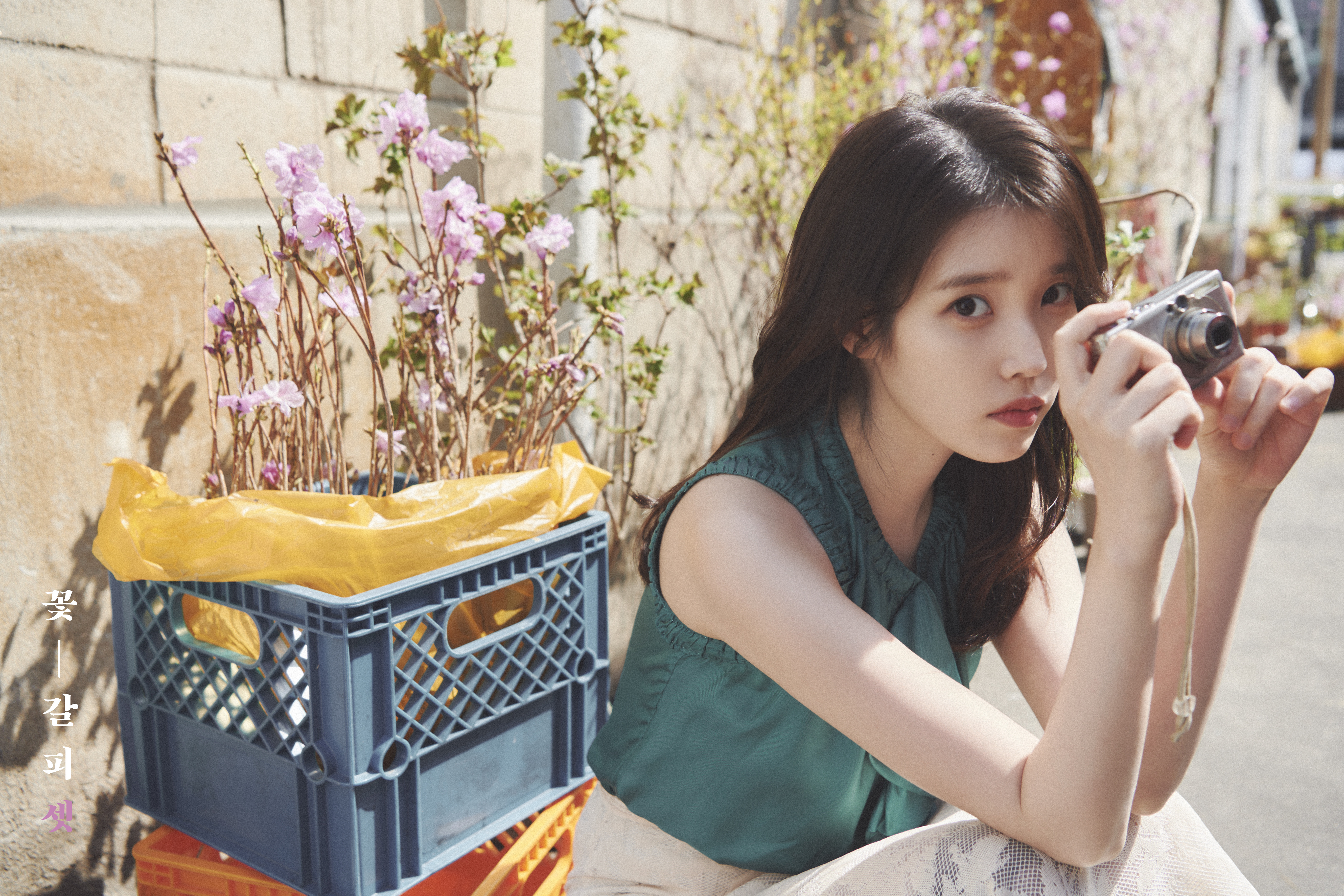[정보/소식] 아이유 꽃갈피 셋 컨셉포토2 | 인스티즈