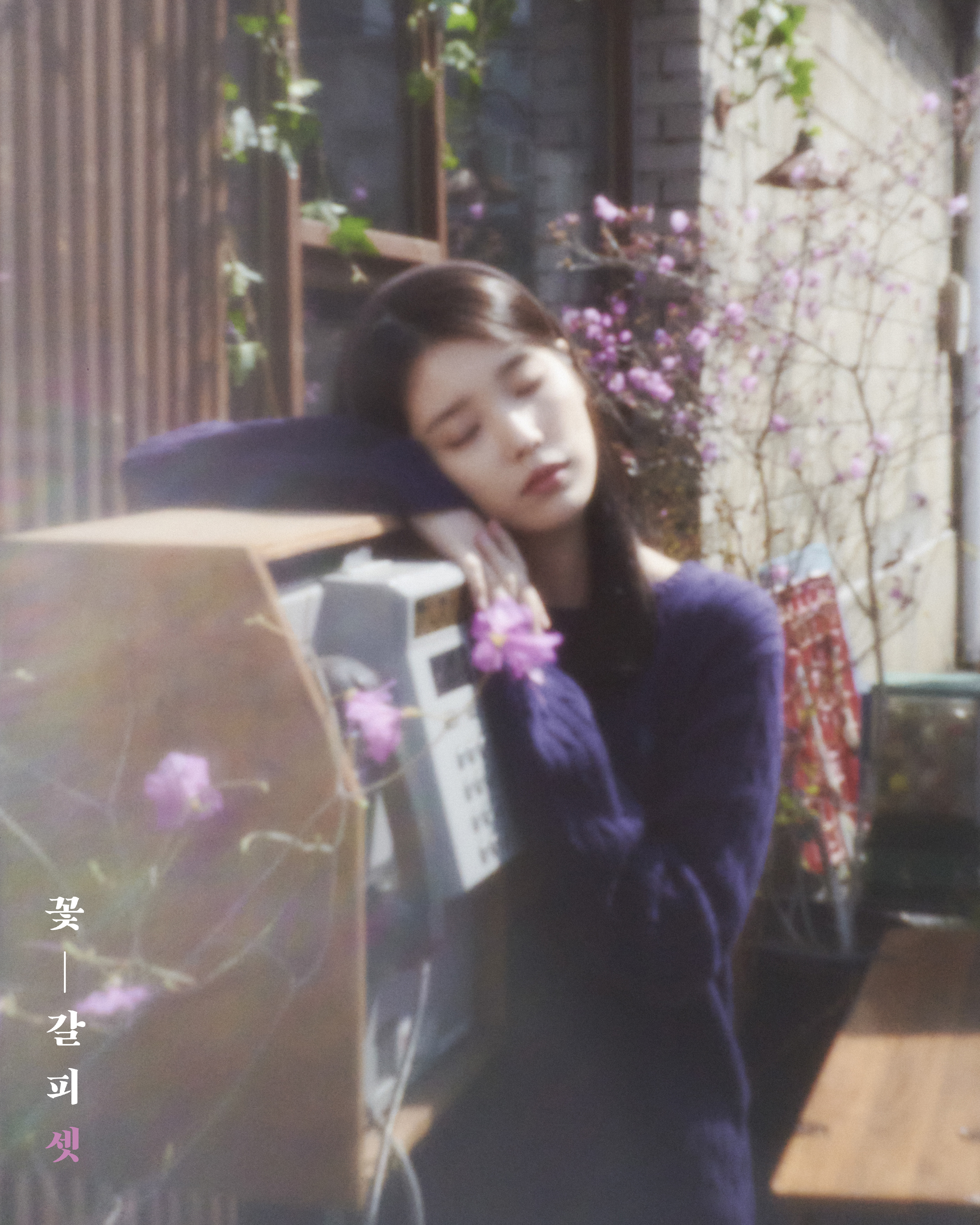[잡담] 아이유 8월의 크리스마스 맞는듯 | 인스티즈