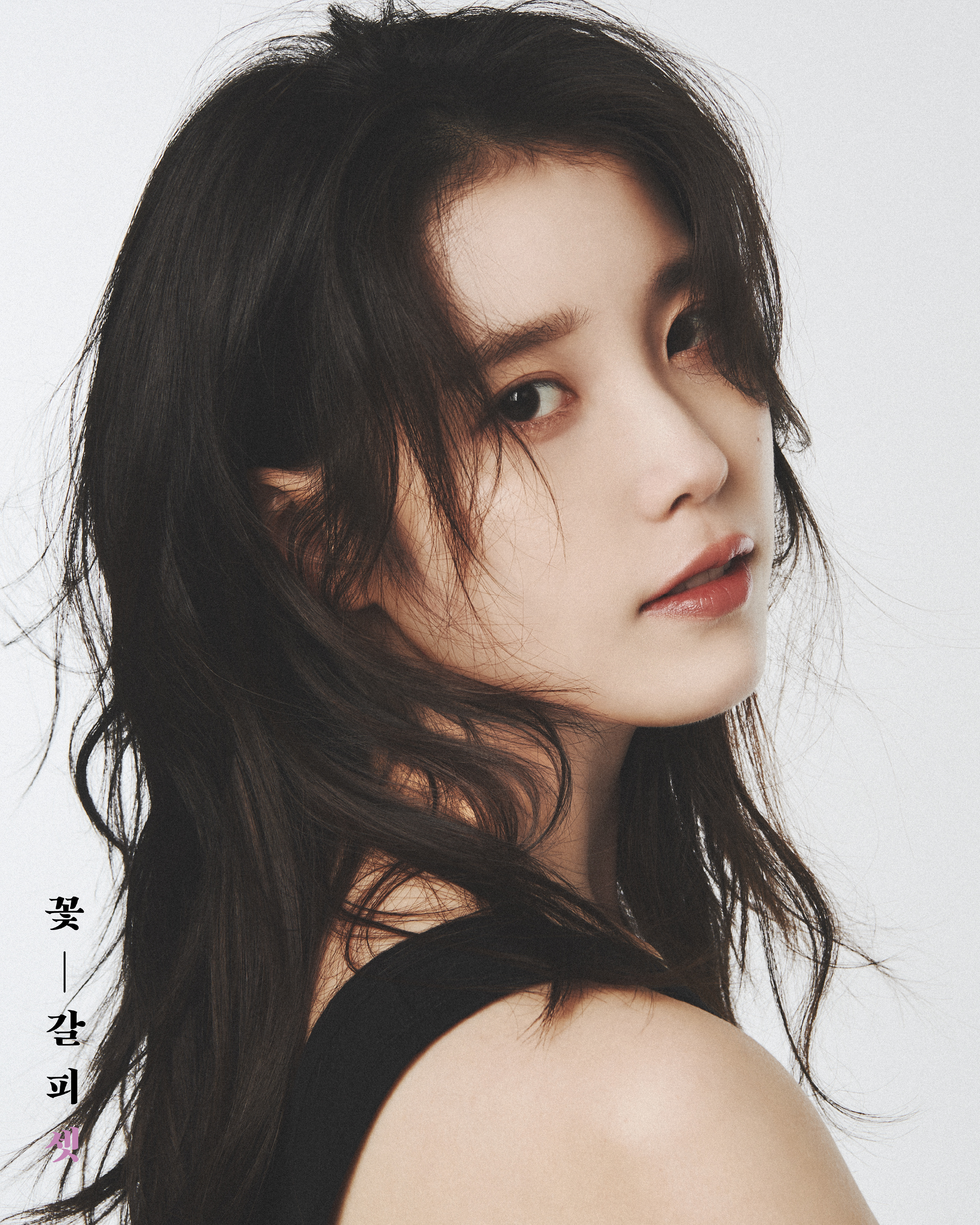 [정보/소식] 아이유 꽃갈피 셋 컨셉포토2 | 인스티즈