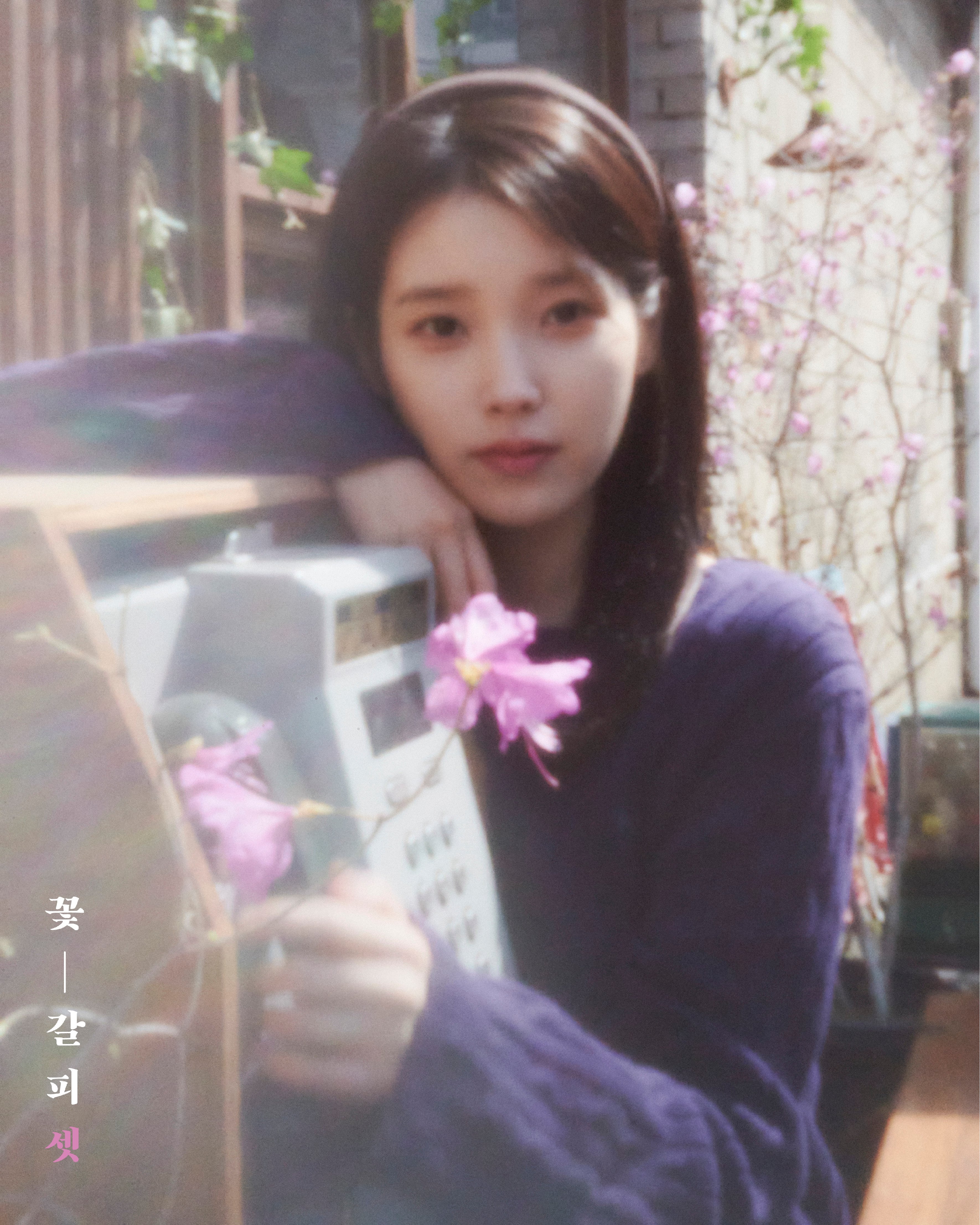 [잡담] 아이유 8월의 크리스마스 맞는듯 | 인스티즈