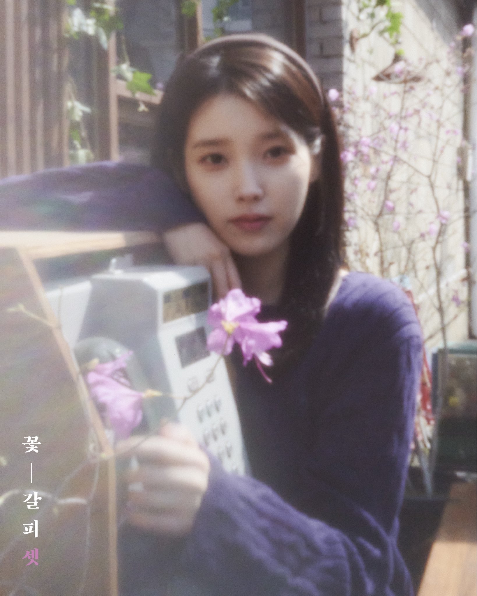 [잡담] 아이유 컨포에 금명이도 있고 희주도 있음.... | 인스티즈
