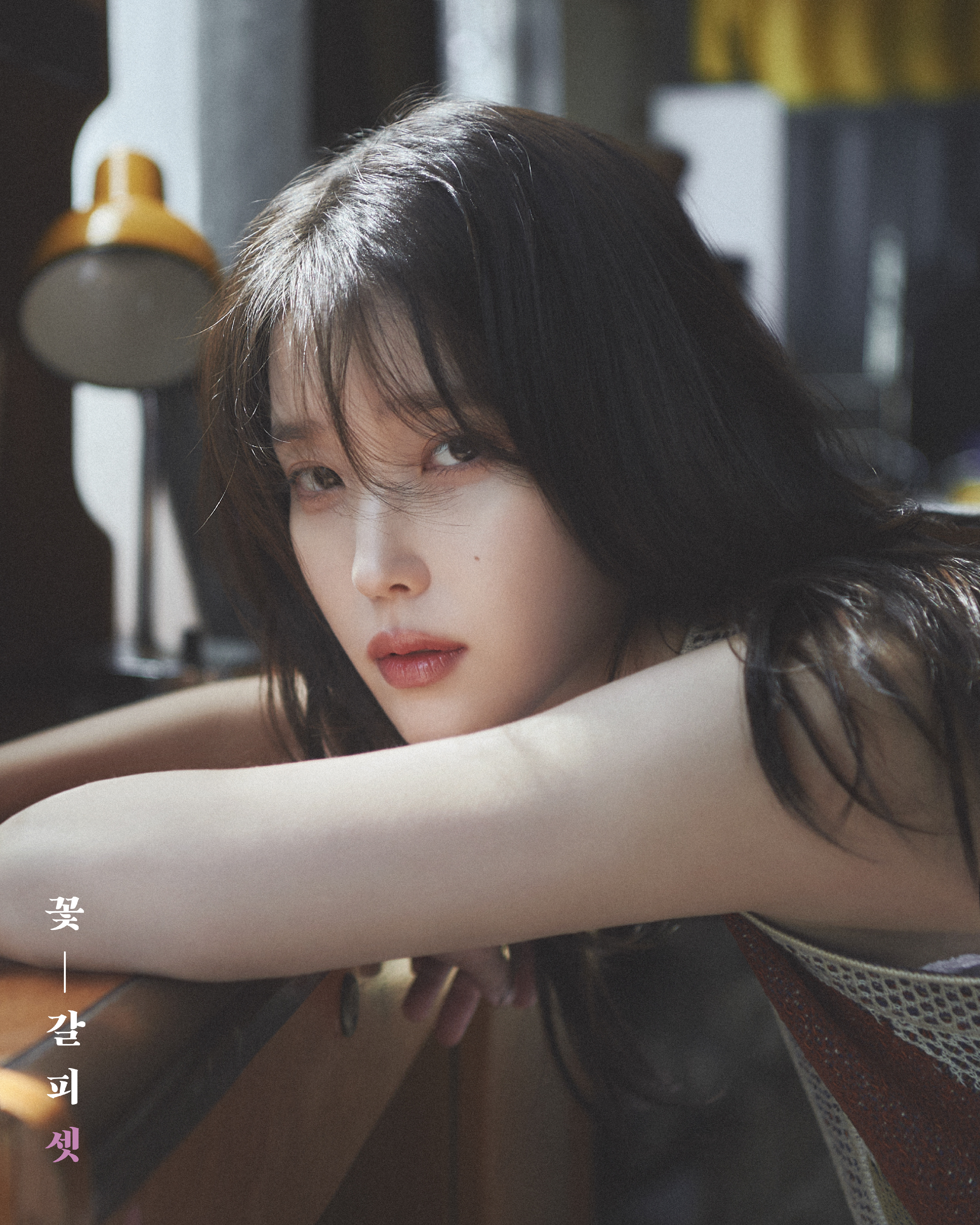 [정보/소식] 아이유 꽃갈피 셋 컨셉포토2 | 인스티즈
