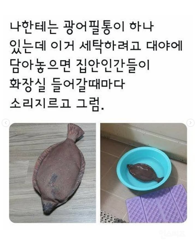 나한테는 광어필통이 하나 있는데.jpg | 인스티즈