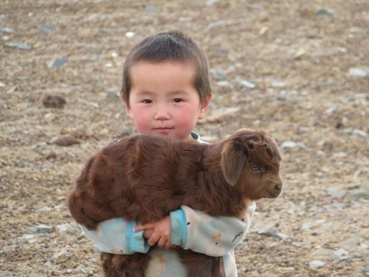 [잡담] 추운데 사는 동물들이 귀여운거같아 | 인스티즈