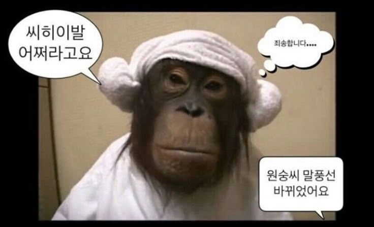 [OnAir] 내 심정 | 인스티즈