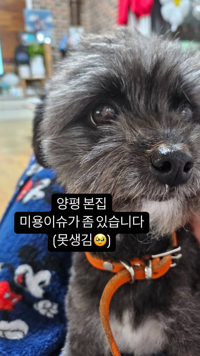 [잡담] 김민 미키바지 ㅇㄱㅈㅇㅇ? | 인스티즈