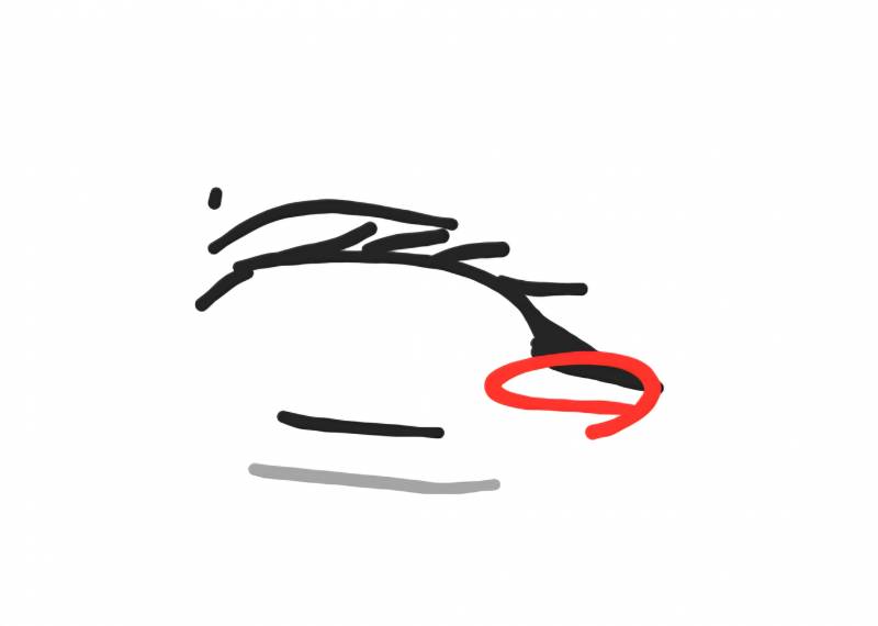 [잡담] 뒷트임 컨실러 추천해줄 사람 ㅠㅠ | 인스티즈