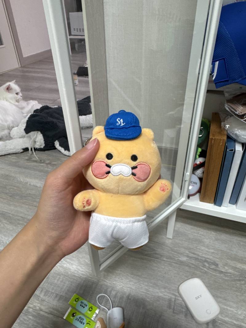 [잡담] 나 레시고뭐고 콜라보캐릭 아무것도 안삿는데 춘식이는 바로 삼... | 인스티즈