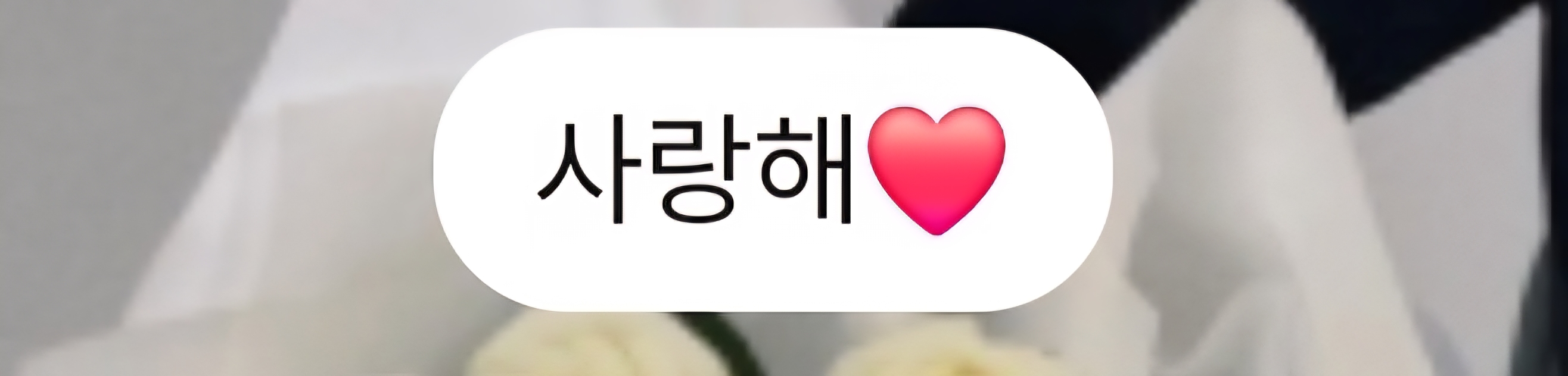 [잡담] 성한빈 소통 좋다 | 인스티즈