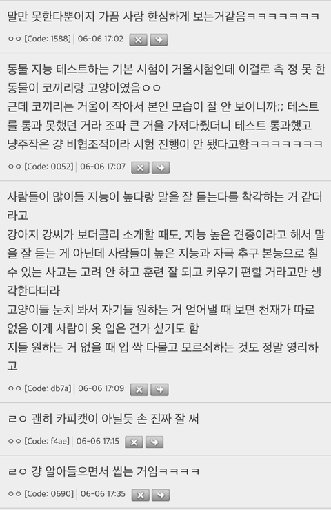 [잡담] 고양이 지능이 실제로는 초1 아이정도 된대 | 인스티즈
