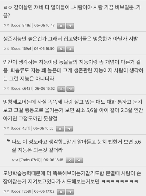 [잡담] 고양이 지능이 실제로는 초1 아이정도 된대 | 인스티즈