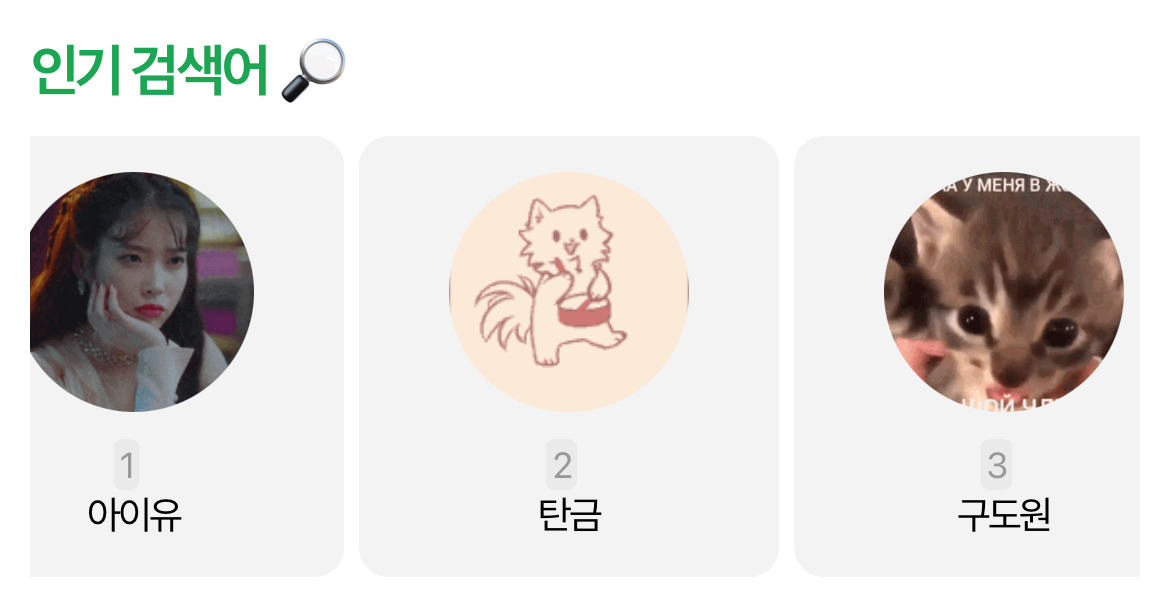 [잡담] 인검 왜 다 고양이 짤? 다 아기 고양이뿐이야 | 인스티즈