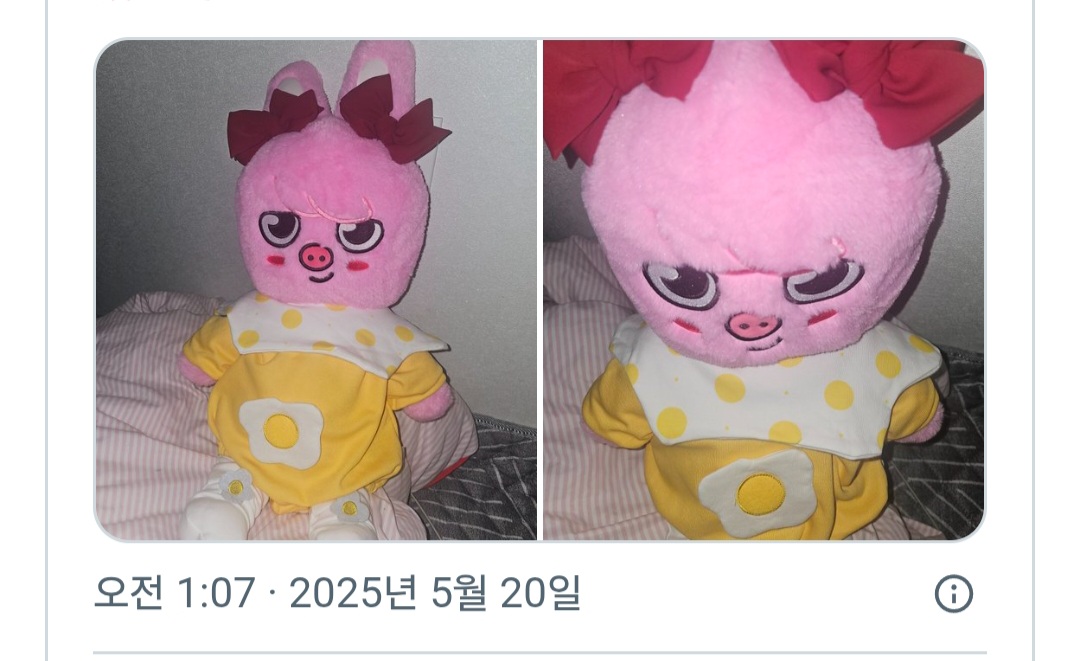 [잡담] 스테이들 테디베어 스키주 ㄹㅇ 키우는중 | 인스티즈