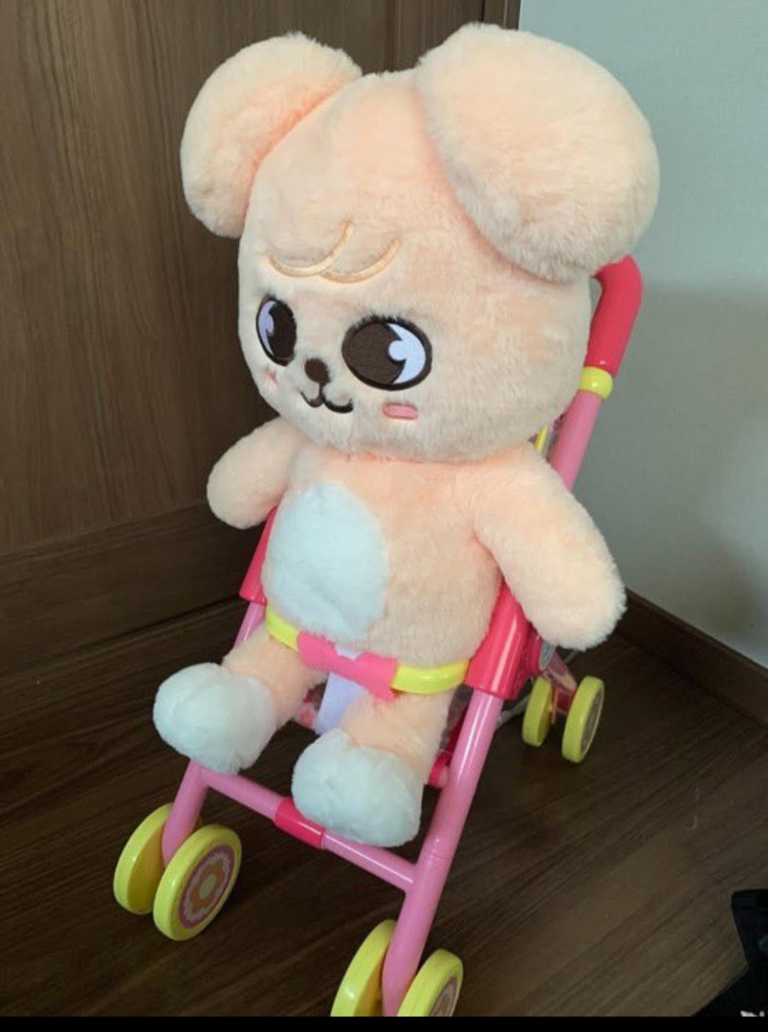 [잡담] 스테이들 테디베어 스키주 ㄹㅇ 키우는중 | 인스티즈