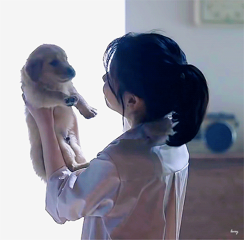 [잡담] 와 아이유 이 강아지 종 뭘까? 개귀엽다ㅠㅠㅠㅠㅠ으아 | 인스티즈