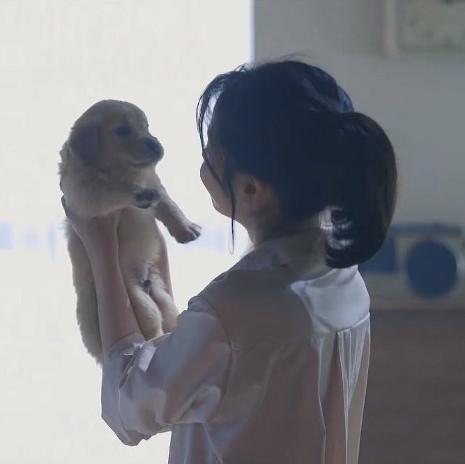[잡담] 와 아이유 이 강아지 종 뭘까? 개귀엽다ㅠㅠㅠㅠㅠ으아 | 인스티즈