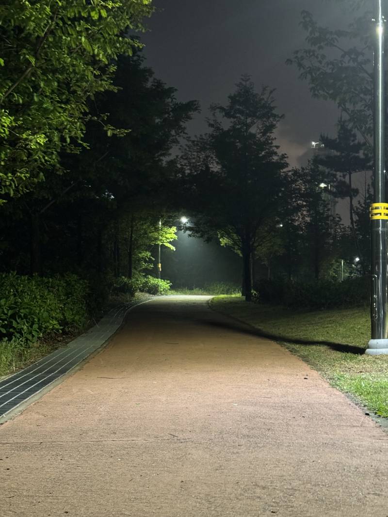 [잡담] 여름이 오기 전에 밤산책 맨날 한다 | 인스티즈