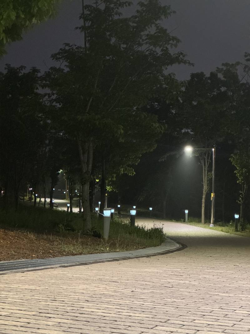 [잡담] 여름이 오기 전에 밤산책 맨날 한다 | 인스티즈