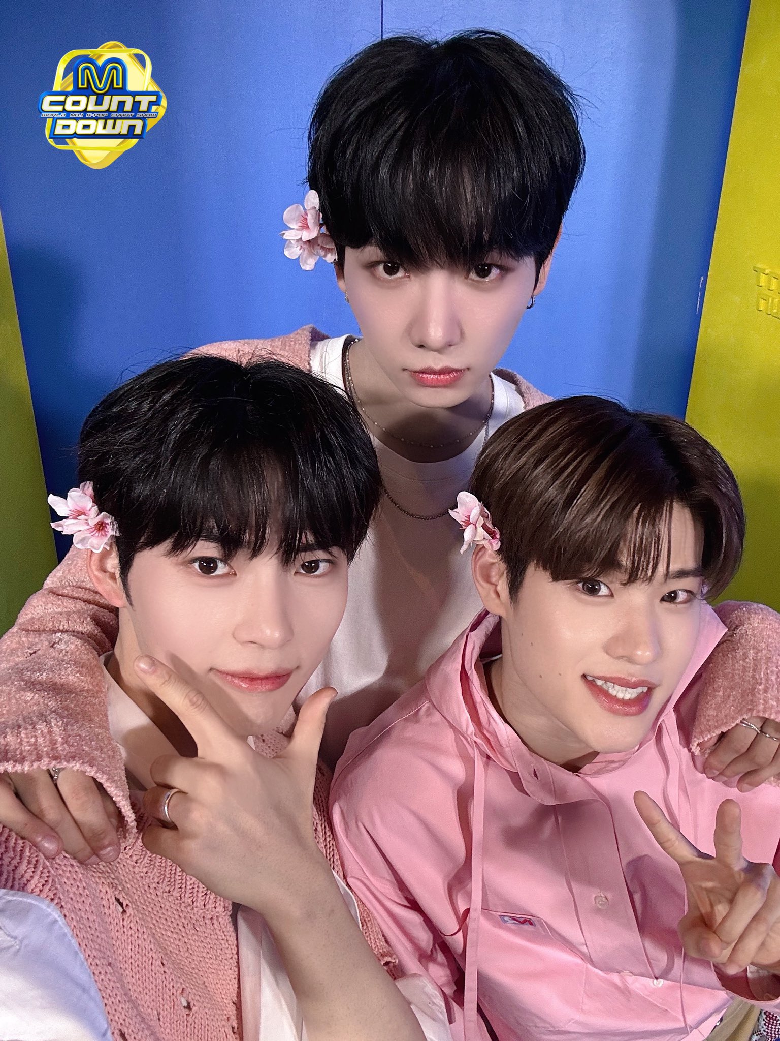 [잡담] 아 제발 멍또캣 보게 해주세요ㅠㅠㅠㅠㅠㅠㅠㅠㅠㅠㅠㅠㅠ | 인스티즈