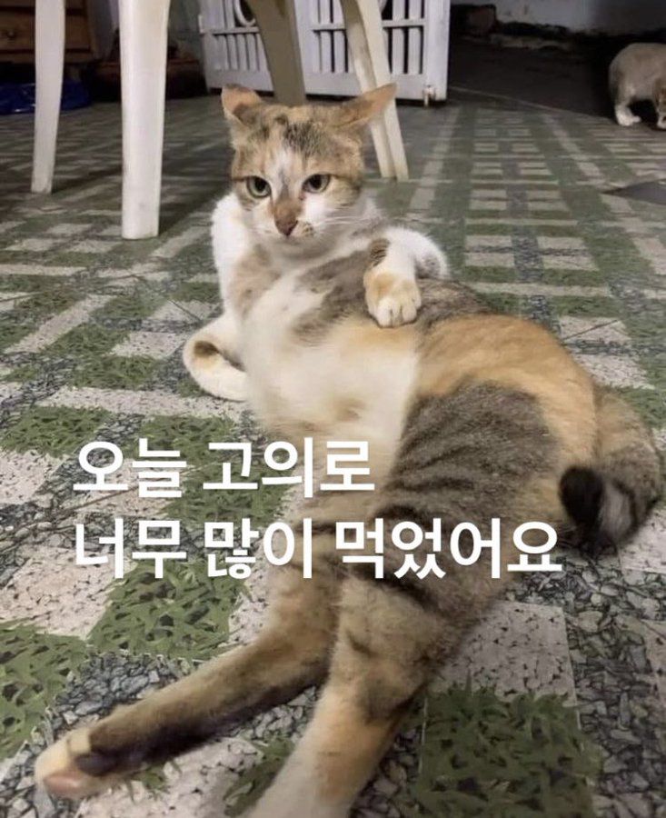 [잡담] 난 왜 이런 짤이 뻘하게 웃기지 | 인스티즈