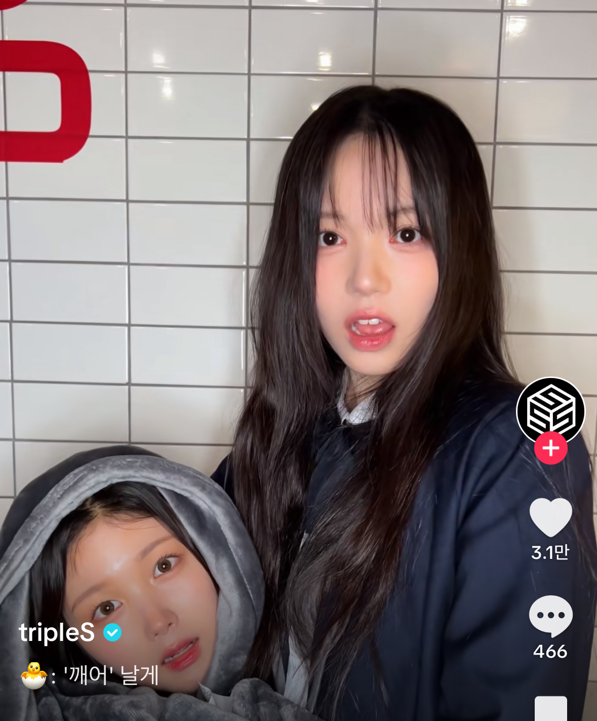[마플] 팬들한테 말 안나와..? 눈앞이 너무 트였느ㄴ데.. | 인스티즈