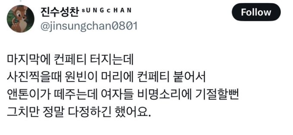 [잡담] 아 앤톤이가 원빈이 컨페티 어케 떼줫길래 | 인스티즈