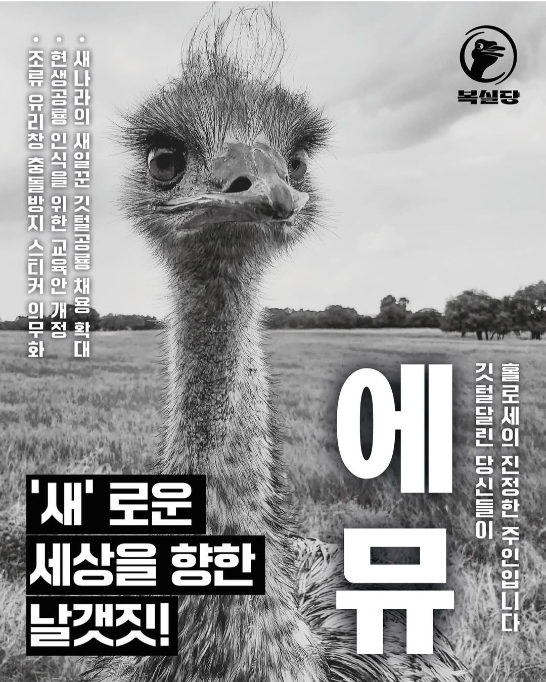 [잡담] 국립중앙과학관에서 공룡 대선 한다는데 왤케 본격적임ㅋㅋㅋ | 인스티즈