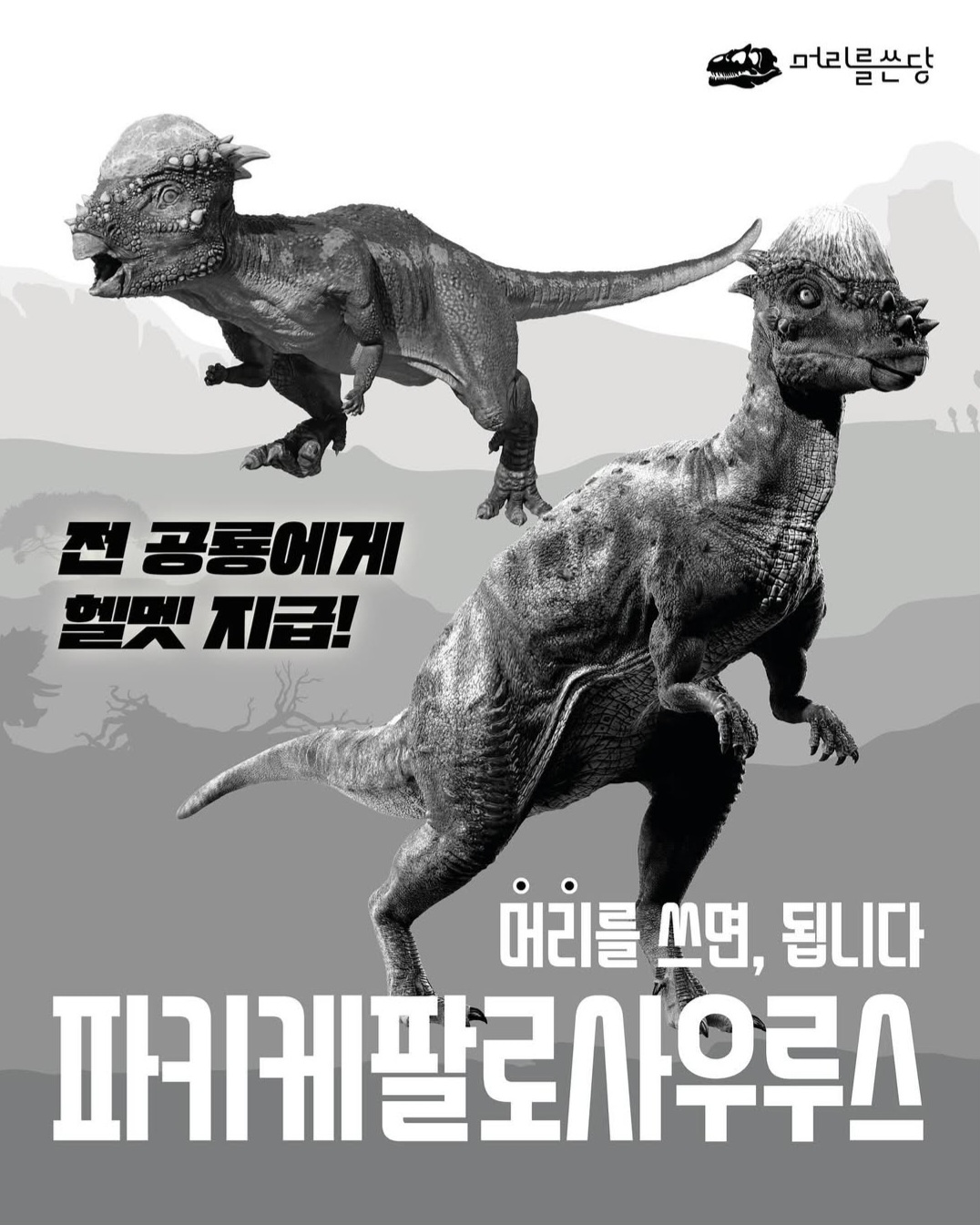 [잡담] 국립중앙과학관에서 공룡 대선 한다는데 왤케 본격적임ㅋㅋㅋ | 인스티즈