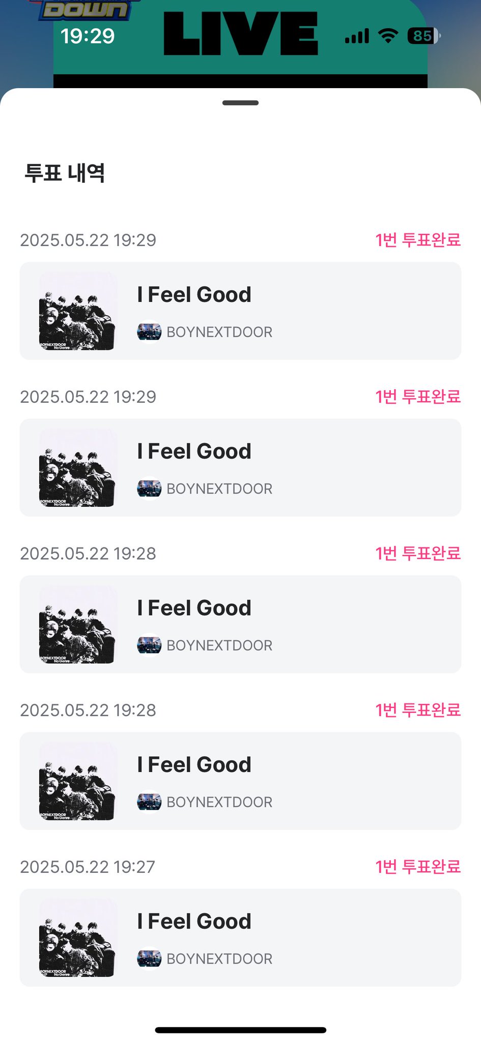 [잡담] 캣츠아이 팬도 보넥도 투표인증 | 인스티즈