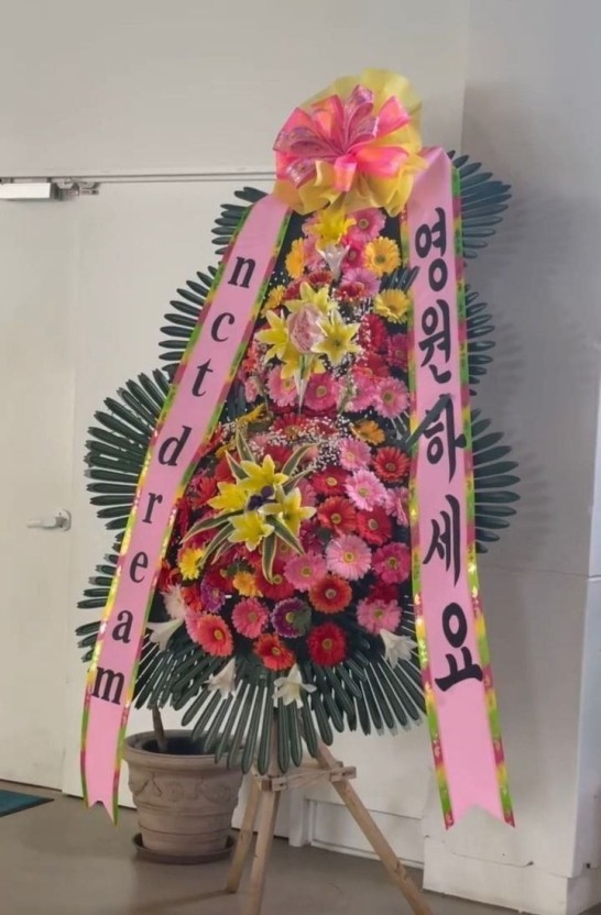 [잡담] 드림 기특해... 귀여워.... | 인스티즈