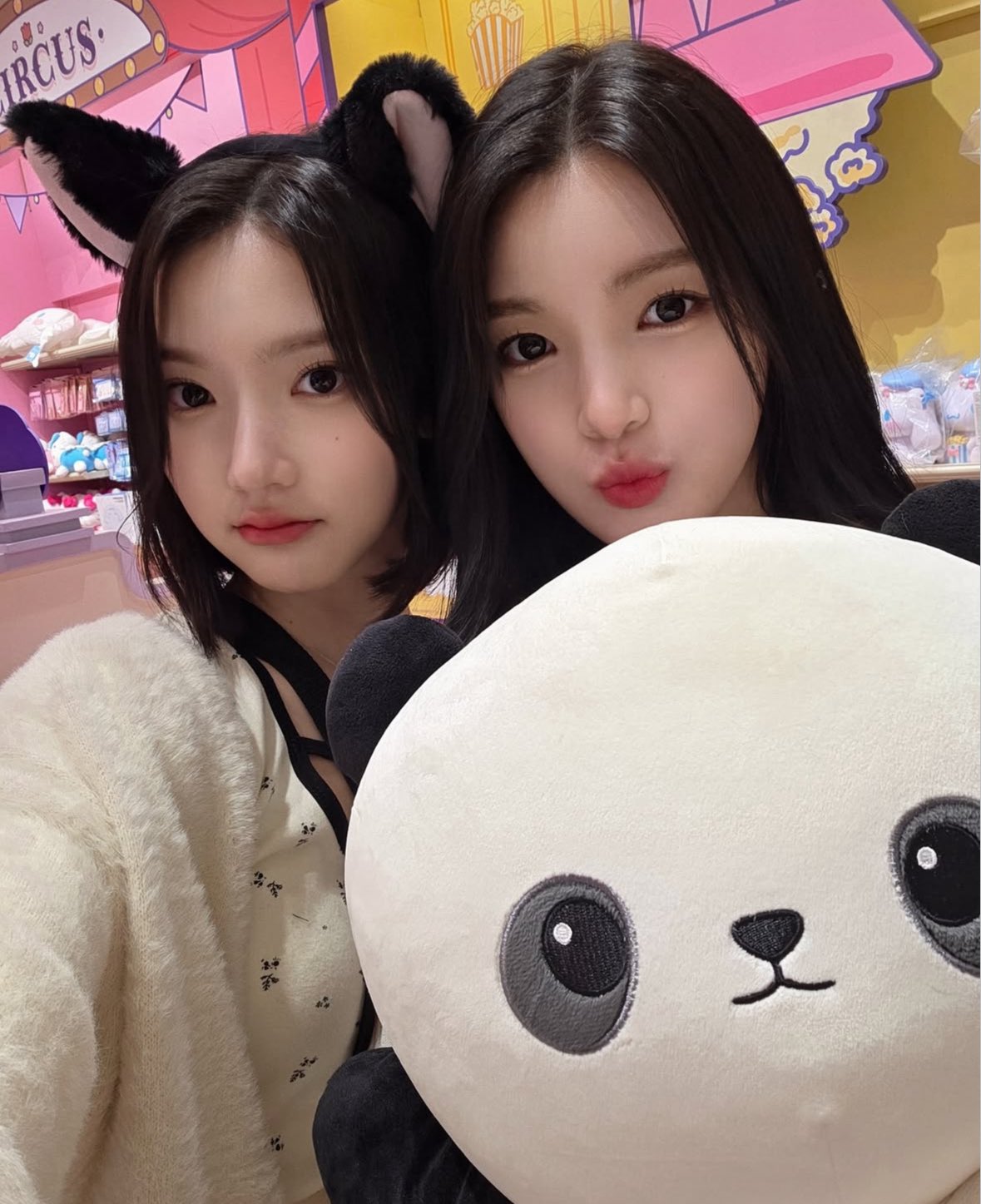 [잡담] 하투하 지우 유하 얼굴합 좋다 | 인스티즈