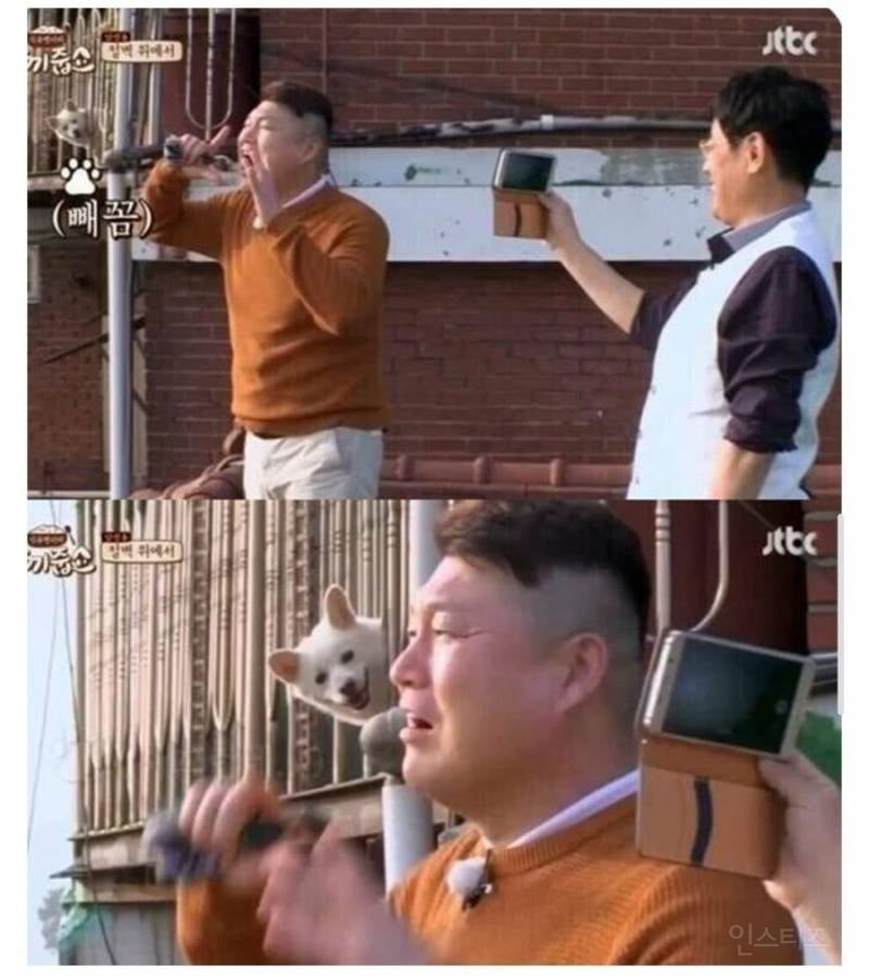 집앞에 연예인 왔다고해서 1열에서 구경 중 | 인스티즈