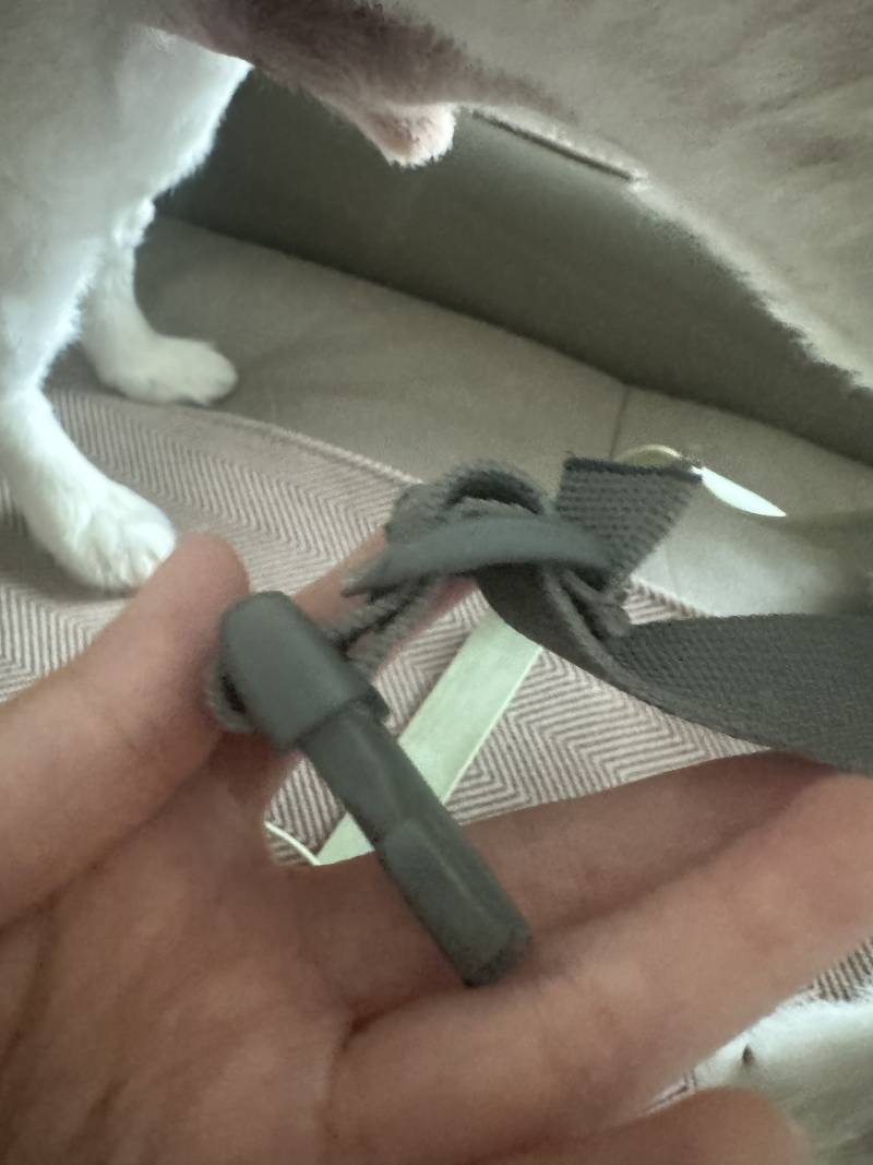 [잡담] 강아지 줄 하네스 어떻게 줄여.. | 인스티즈