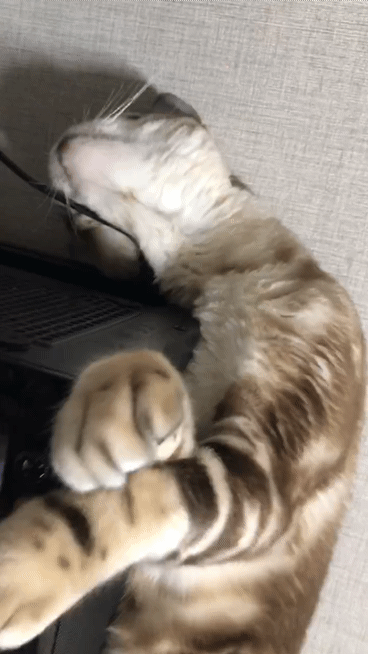 [잡담] 아니 왜 저러고 자냐!!! | 인스티즈